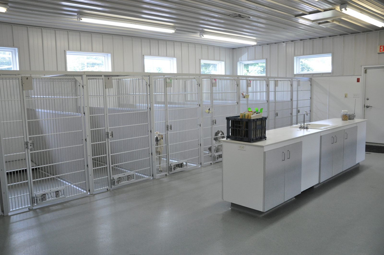 View of What Every Dog Kennel Drainage System Needs